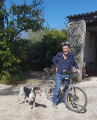 Dog-powered bicycle