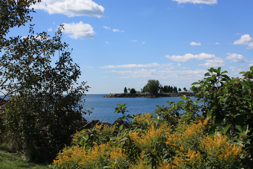 F1000025