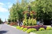 Niagara-on-the-lake