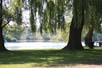Toronto Island