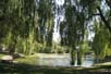 Toronto Island