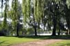 Toronto Island