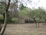 Sheppard's hut