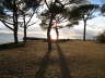 Around Pignans